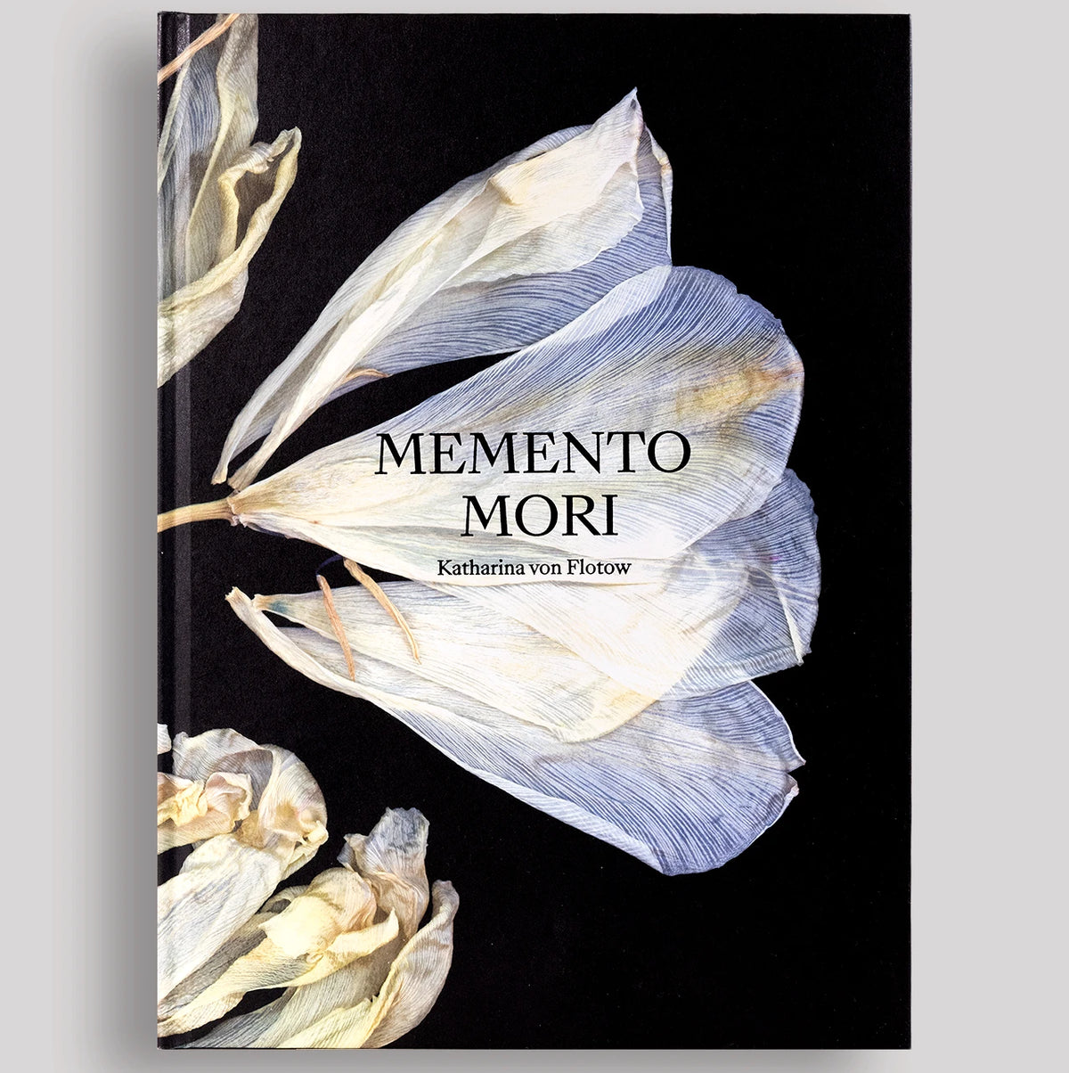 Memento mori - Katharina Von Flotow
